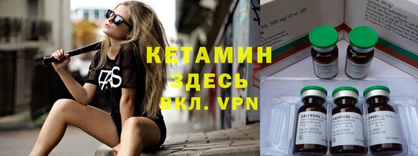 крисы Алзамай