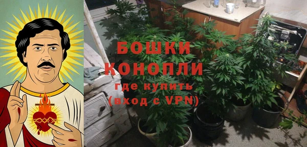 крисы Алзамай