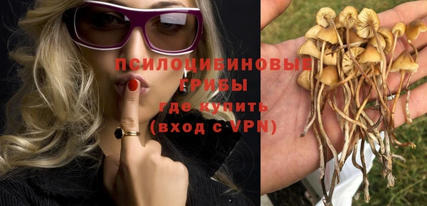 крисы Алзамай