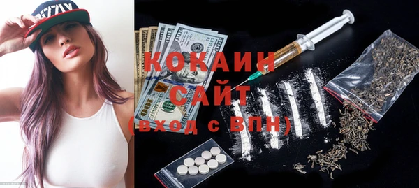 крисы Алзамай