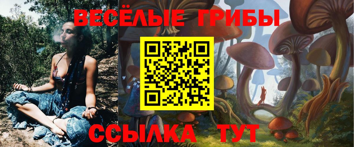 Псилоцибиновые грибы мухоморы  Вход с VPN  Белореченск 