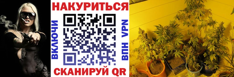 Канабис сатива  кракен вход  Белореченск 